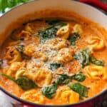 Creamy Tomato Tortellini Soup