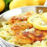 Romano Chicken with Lemon Garlic Pasta
